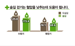 숲길걷기는 혈압을 낮추는데 도움이 됩니다 수축기 도심길은 125.0 숲길은 115.4 확장기 도심길은74.1 숲길 69.6