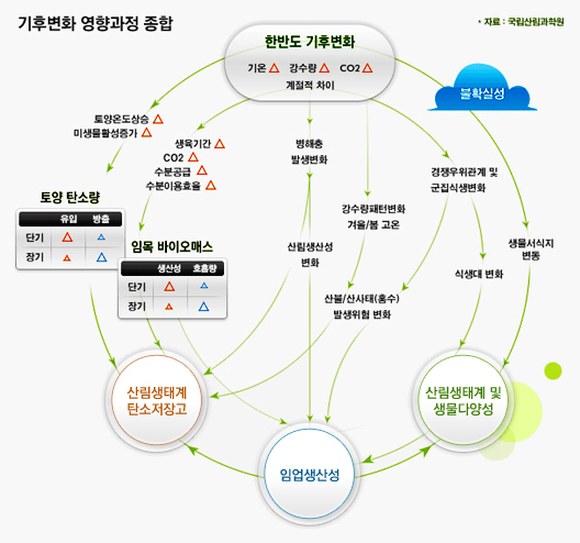 기후변화 영향과정을 종합한 숲의 구조와 생산성의 변화