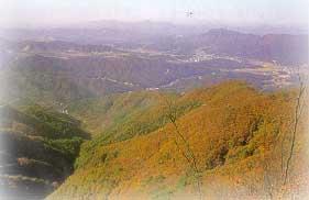 강씨봉_1