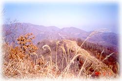 계관산_2