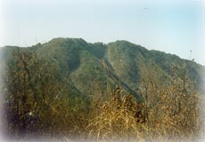 고래산_1