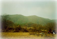 고래산_2