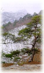 곰넘이봉_2