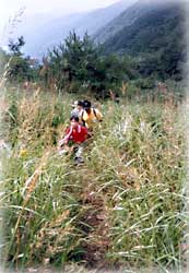 귀목봉_1