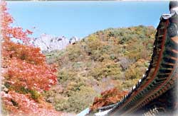 내장산_3