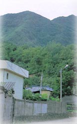 뇌정산_1