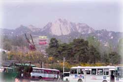 도마치봉_2