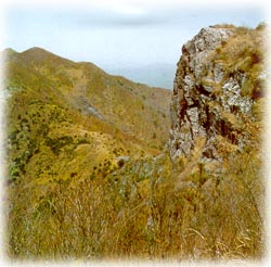 만행산_1