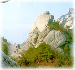 매봉_2