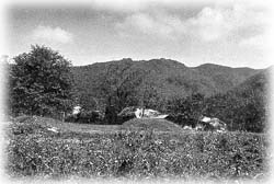 몽덕산_1