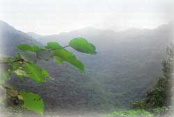 바른골봉_1