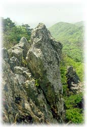 보금산_1