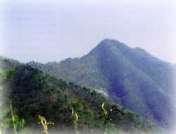 보련산_1