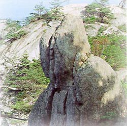 부봉_4