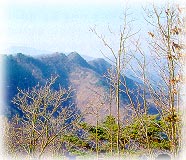 삽다리봉_1