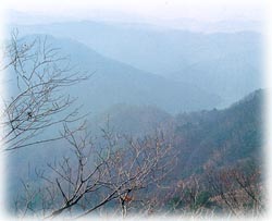 삽다리봉_2