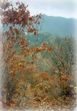 소구니산_1