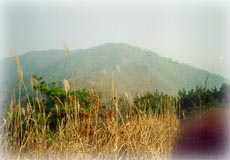소구니산_2