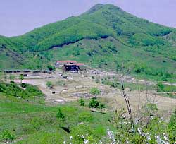 올산_1