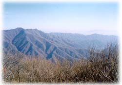 장안산_1