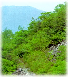 정각산_1