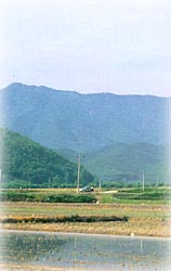 냉산_1