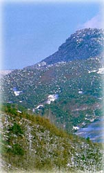 봉명산_1