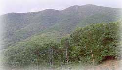 고령산_1
