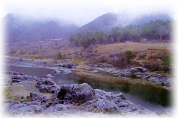 뇌암산_1