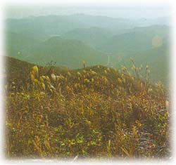 여분산_1