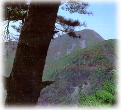 이명산_1