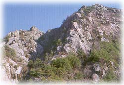 의룡산_2