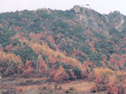 주월산_1
