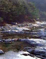 사향산_2