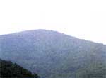 동대산_1
