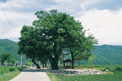 면봉산_3