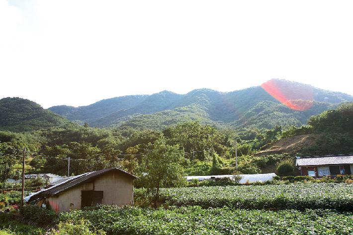 사랑산_3