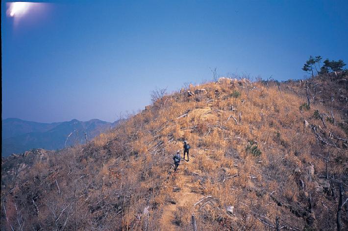 영취산_3