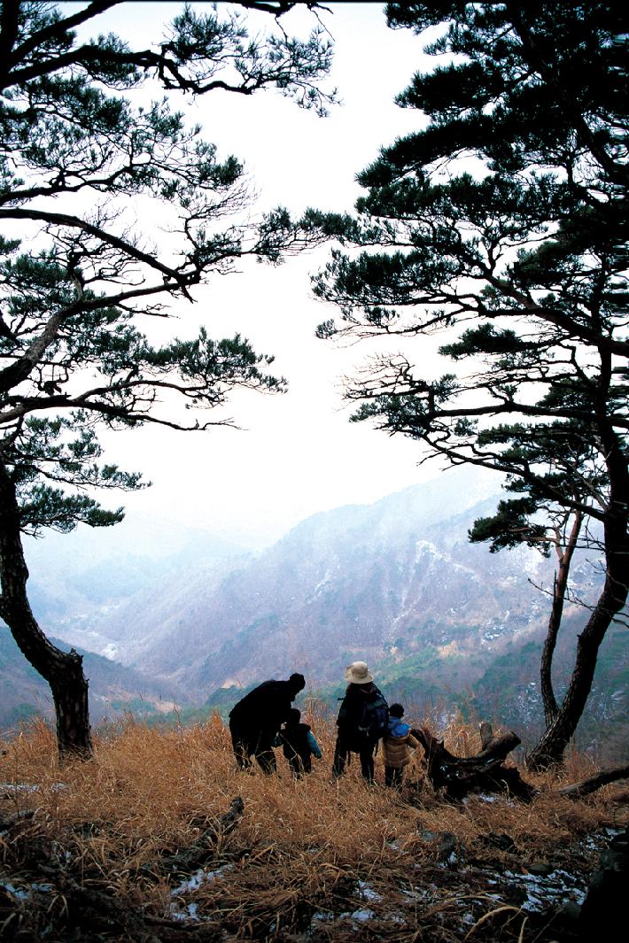 성주산_2