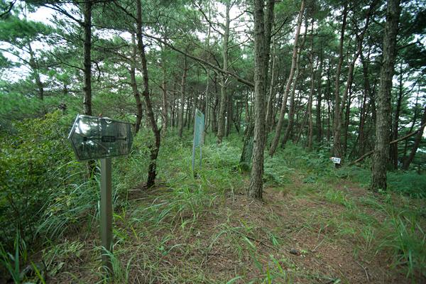 까치절산_2