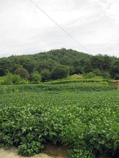달봉산_2