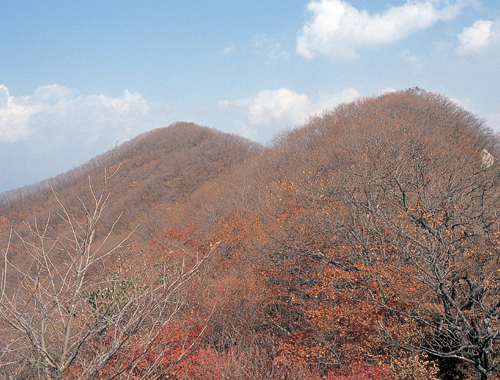 서리산_2