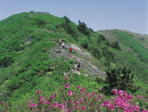 제암산_1