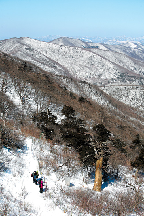 함백산_1