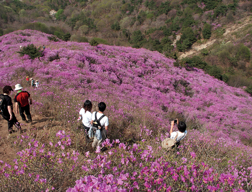 고려산_1