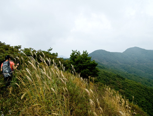 덕태산_2