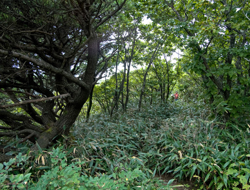 덕태산_3