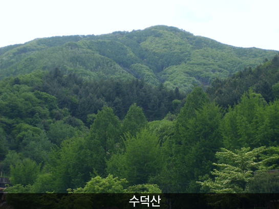 수덕산_7