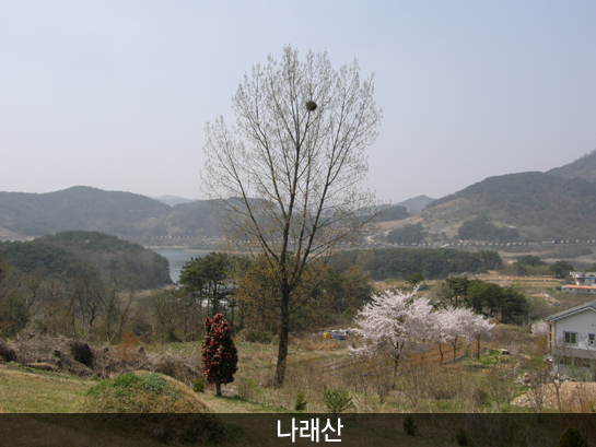 나래산_4