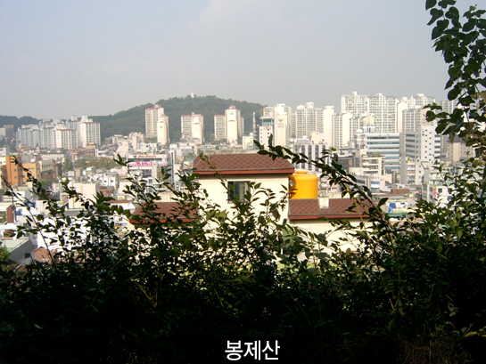 봉제산_5